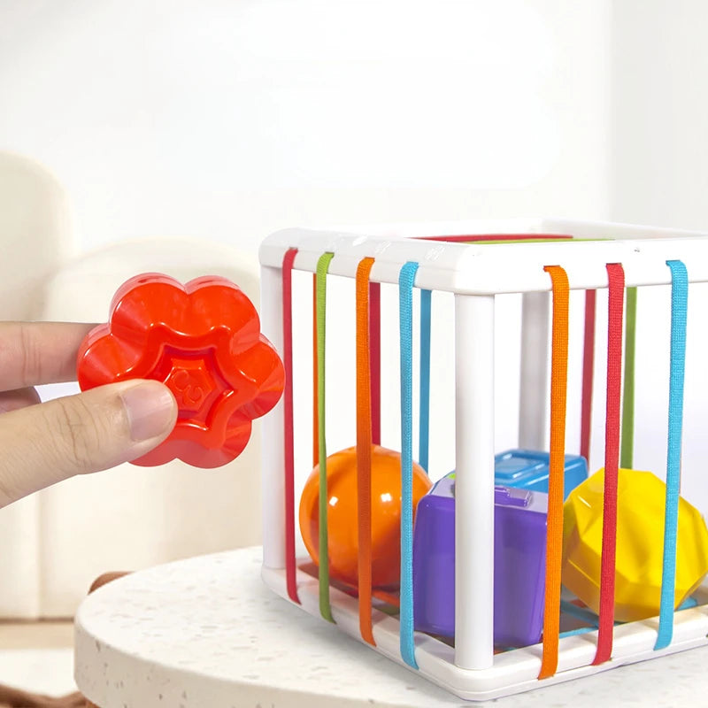 Jouet d'Éveil Sensoriel Montessori | Cube d'Exploration à Bandes Élastiques