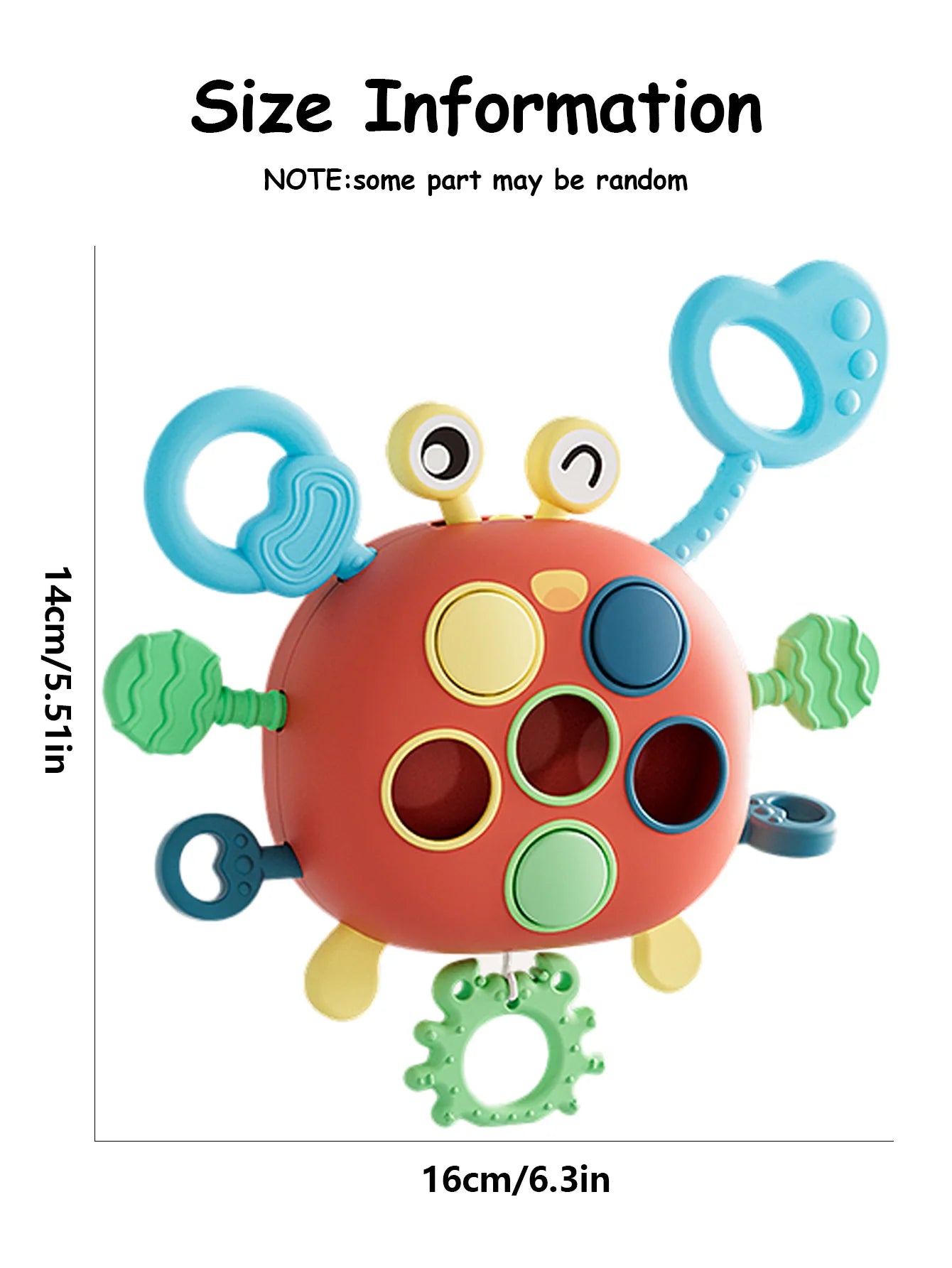 Jouet à Tirer Sensoriel | Crabe d'Éveil & Motricité